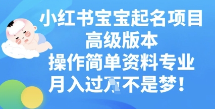 小红书宝宝起名项目高级版本，操作简单，资料专业，月入过W-财富群