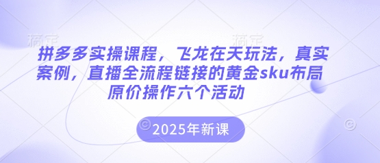 拼多多实操课程,飞龙在天玩法,真实案例,直播全流程链接的黄金sku布局原价操作六个活动-财富群