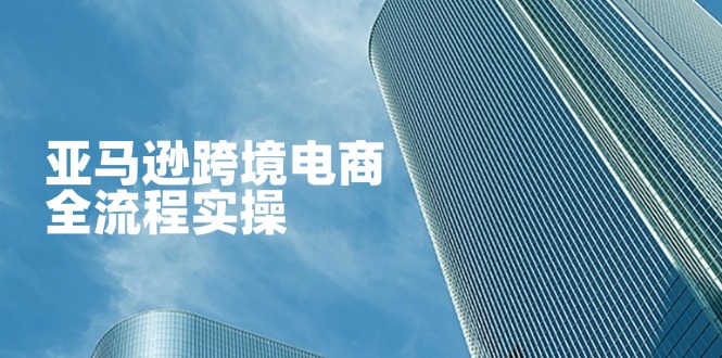 (14252期)亚马逊跨境电商全流程实操,教你从零开始,掌握店铺运营与广告技巧-财富群