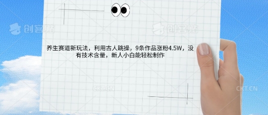 AI养生赛道新玩法，10条作品涨粉5.2W，操作简单，新人小白能轻松制作-财富群