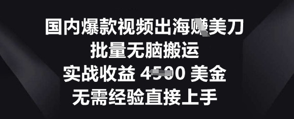 国内爆款视频出海挣美刀,批量无脑搬运,实战收益4.5k,无需经验直接上手-财富群