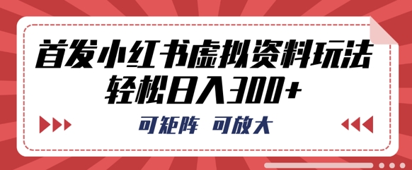 首发小红书虚拟资料玩法,可矩阵,可放大,轻松日入3张-财富群