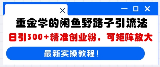 重金学的闲鱼野路子引流法，日引300+精准创业粉，可矩阵放大-财富群