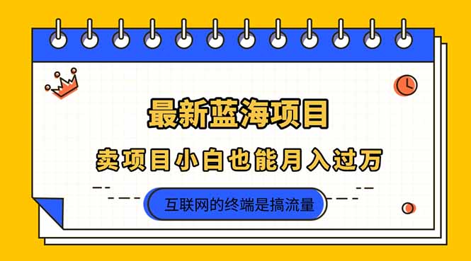 （14289期）2025年最新蓝海项目，卖项目小白也能月入过万-财富群