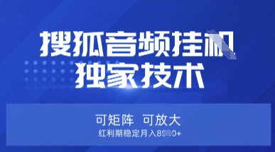 【搜狐音频挂G】独家技术，可矩阵可放大，红利期稳定月入8k【揭秘】-财富群