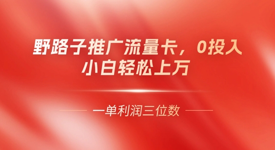 0门槛推广流量卡,一单收益上百,0投入,小白月入过W-财富群