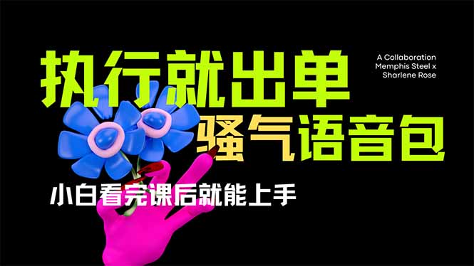 （14170期）爆火全网的开车导航骚气语音包,只要执行就出单，小白看完课程就能实操…-财富群