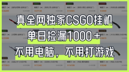 真全网独家CSGO挂G，单日捡漏1k+【揭秘】-财富群