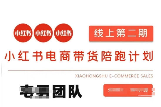 小红书电商带货课2期，月利润20个的小红书电商的有货源，无货源，虚拟产品，付费投流等整套玩法-财富群