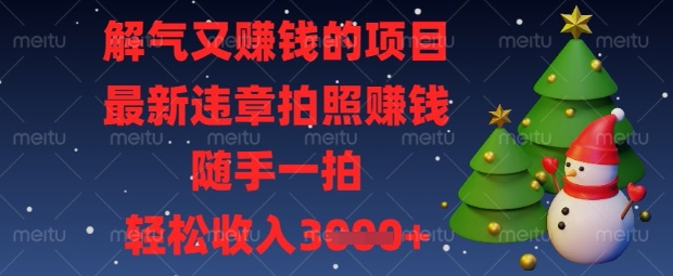 解气又挣钱的项目，最新违章拍照挣钱，随手一拍，轻松收入数张【揭秘】-财富群